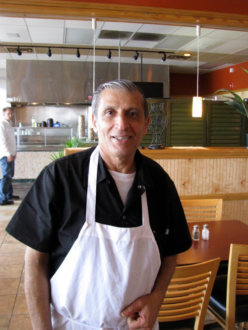 david Mor, the olive tree